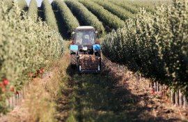 Субсидии для сельского хозяйства в Гагаузии - AgroExpert.md