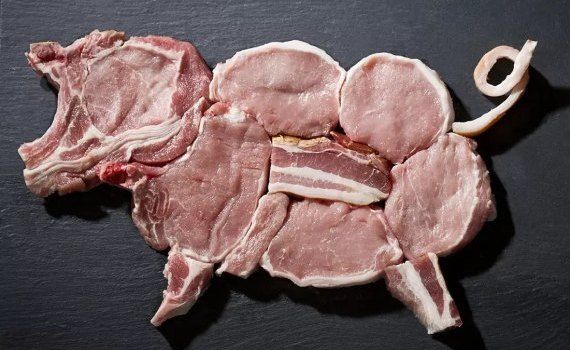 Цена на свинину в Украине - AgroExpert.md