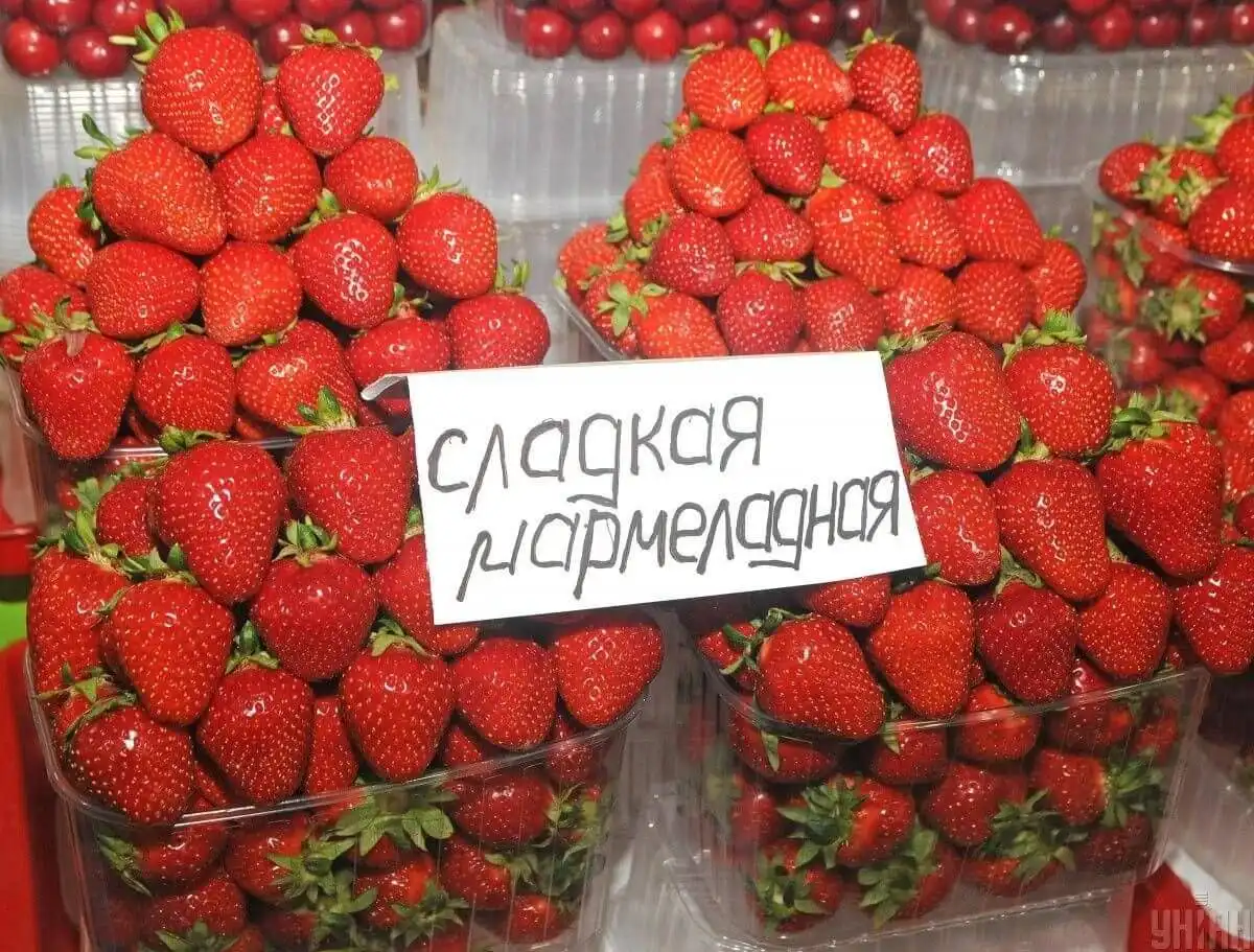 В Украине начался сезон клубники открытого грунта. Цены упали на 40%
