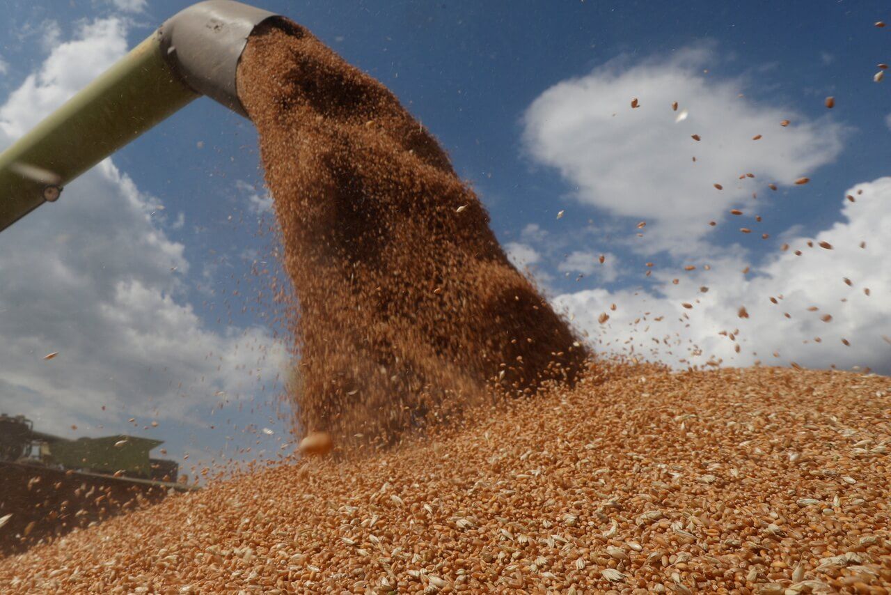 Цены на кукурузу и пшеницу - AgroExpert.md