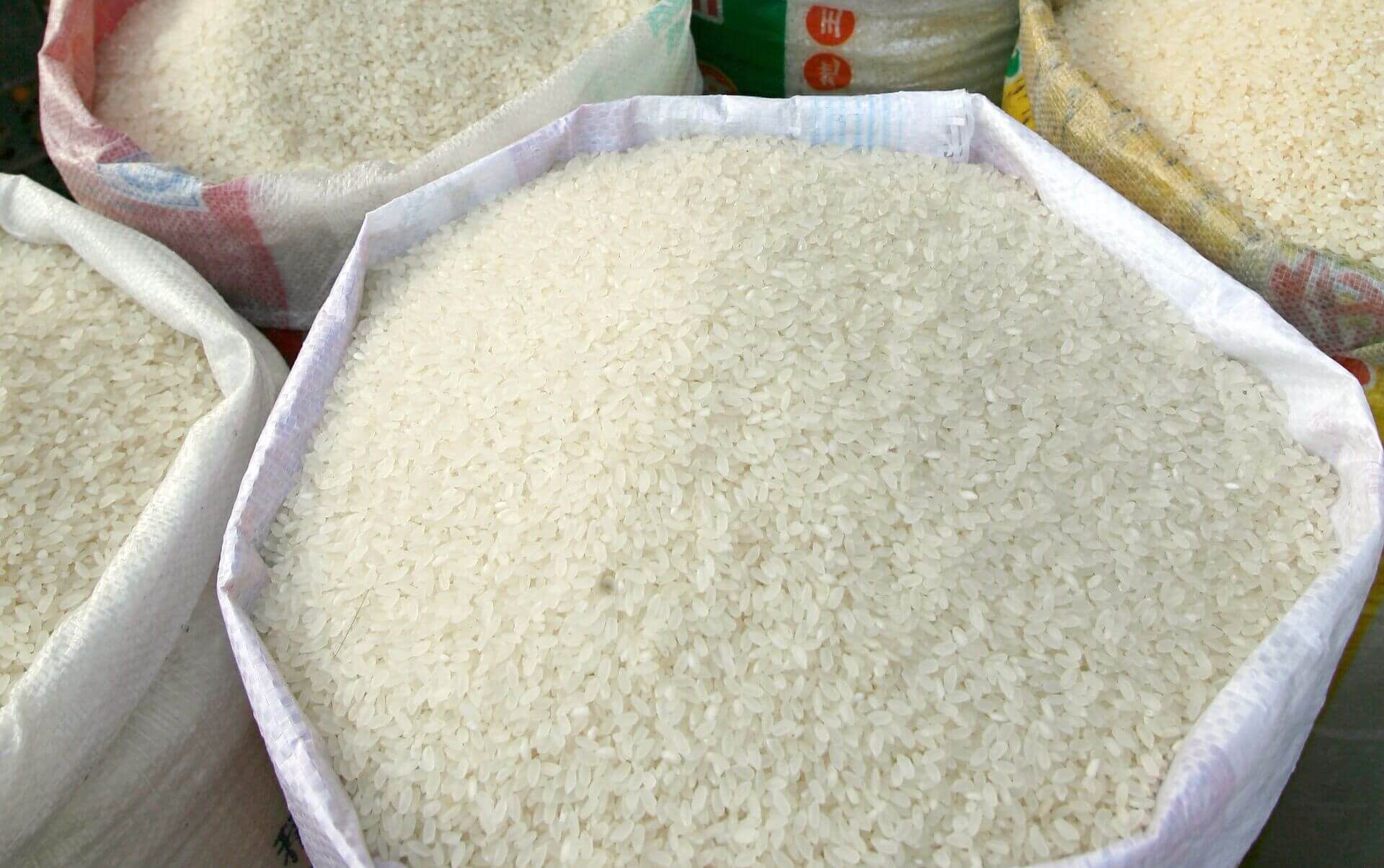 Дефицит риса в Молдове - AgroExpert.md