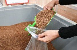 Российская гречка - AgroExpert.md