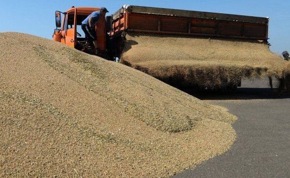 Рекордный урожай зерна в России - AgroExpert.md
