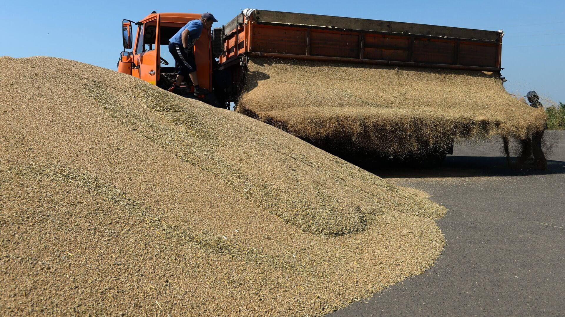 Рекордный урожай зерна в России - AgroExpert.md