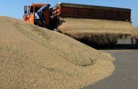 Рекордный урожай зерна в России - AgroExpert.md