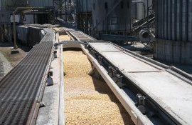 Пошлина на зерно в России - AgroExpert.md