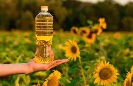 Подсолнечное масло из Украины - AgroExpert.md