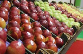 Экспорт яблок из Молдовы - AgroExpert.md