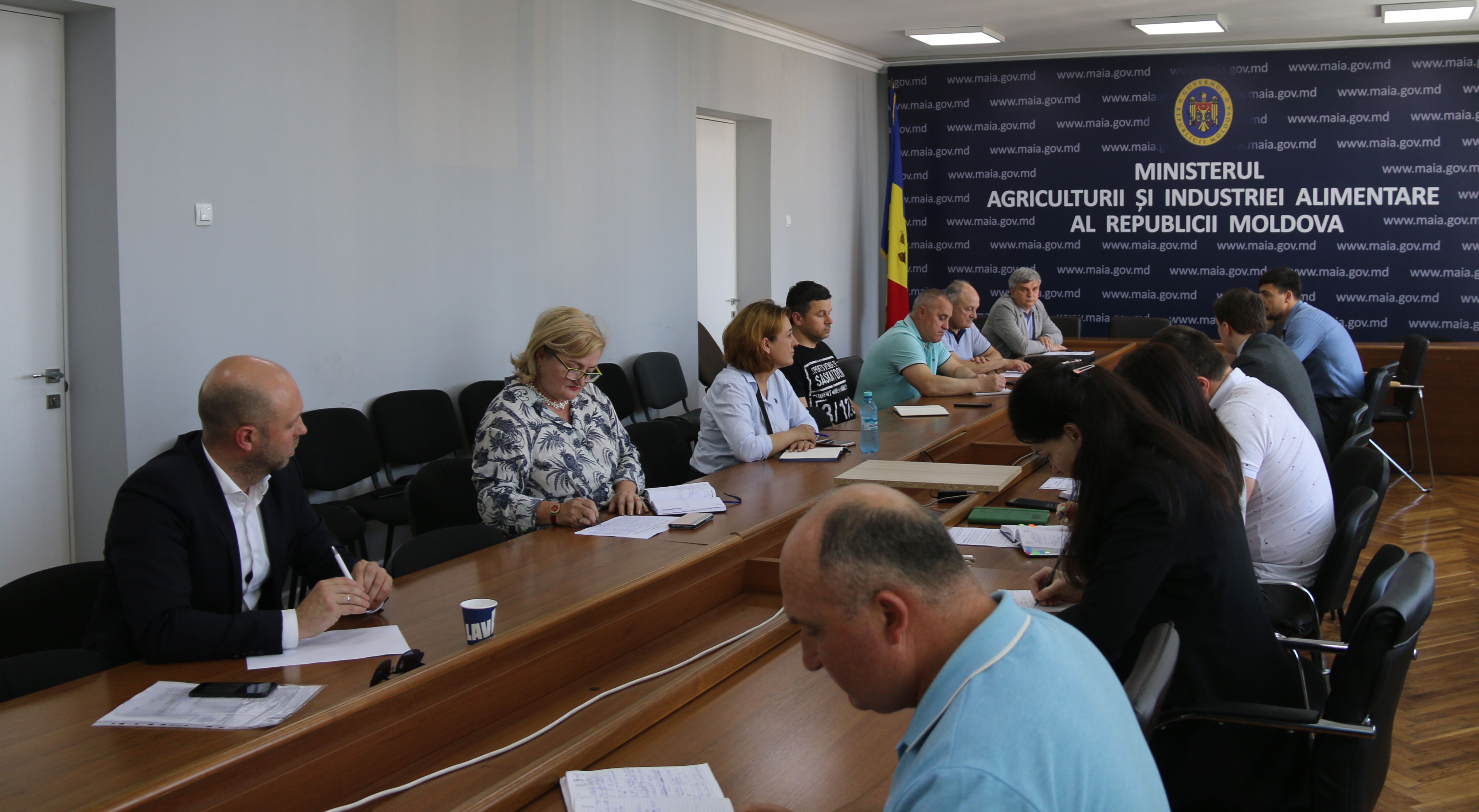 produse vegetale expoert Moldova - agroExpert.md
