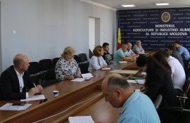 produse vegetale expoert Moldova - agroExpert.md