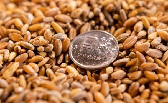 Воровство украинской пшеницы - AgroExpert.md