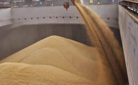 Проблемы с экспортом украинского зерна - AgroExpert.md
