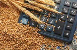 interdicțție export grâu - AgroExpert.md