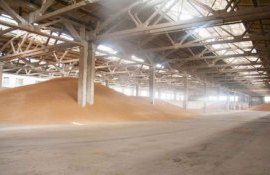 grâu rezerva de stat concurs - AgroExpert.md
