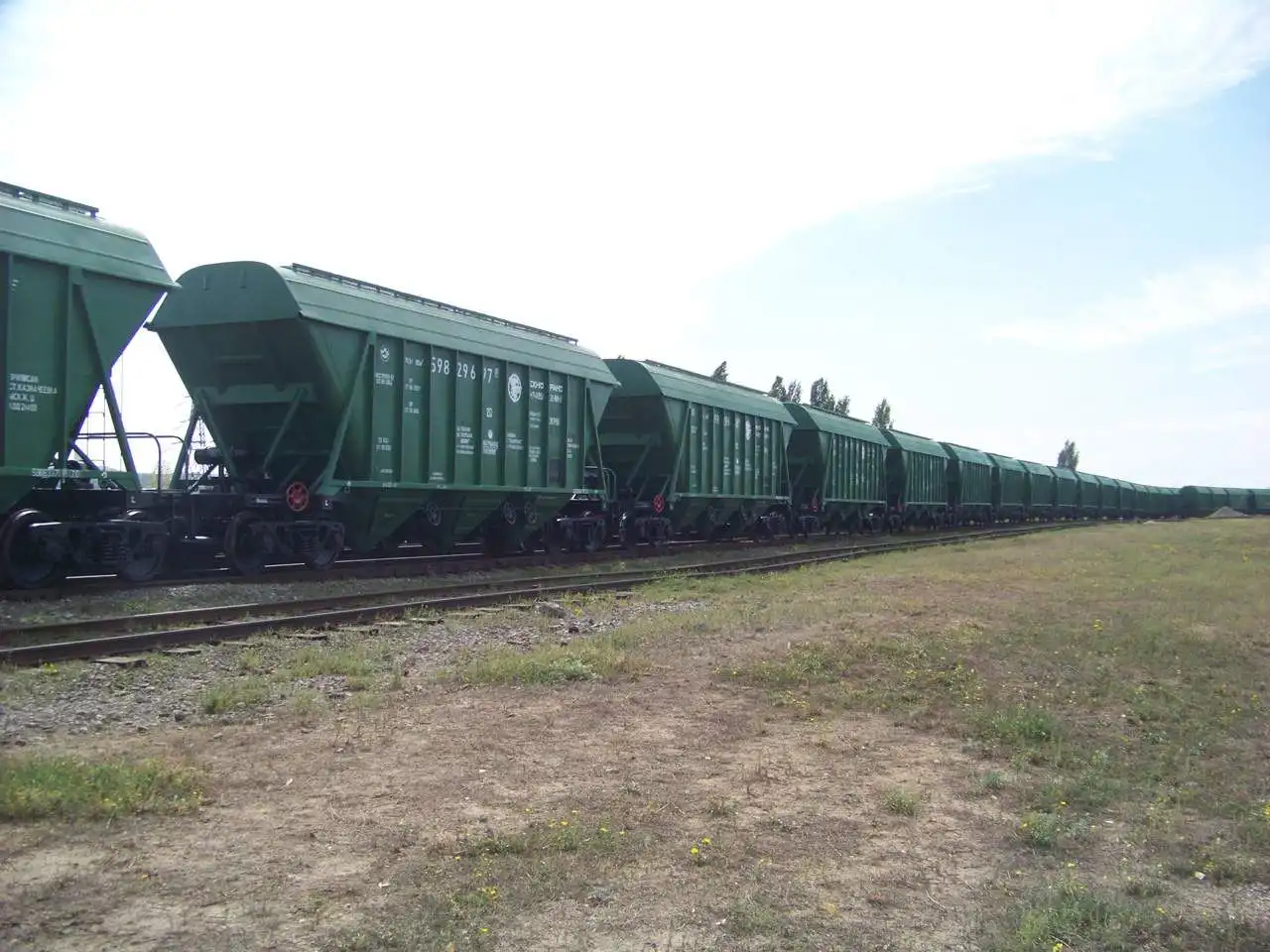 Украина организовала два пути экспорта зерна. Готовит третий