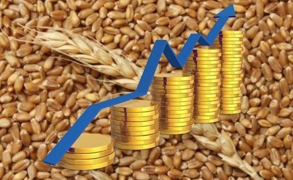 prețuri, cereale bursă - AgroExpert.md