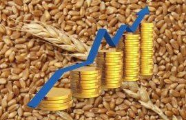prețuri, cereale bursă - AgroExpert.md