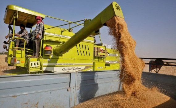 export grâu India - AgroExpert.md