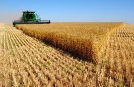 orz furajer prețuri export - AgroExpert.md