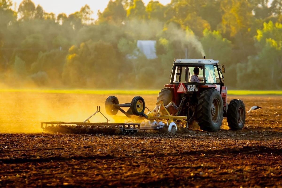 femieri sancțiuni occident - AagroExpert.md