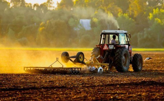 femieri sancțiuni occident - AagroExpert.md