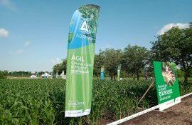 ADAMA fertilizanți agricultură - AgroExpert.md
