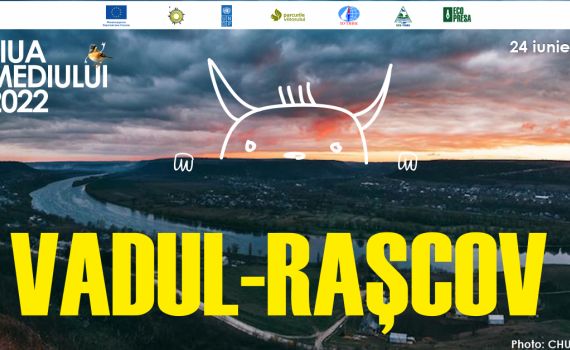  Festival Ziua Mediului