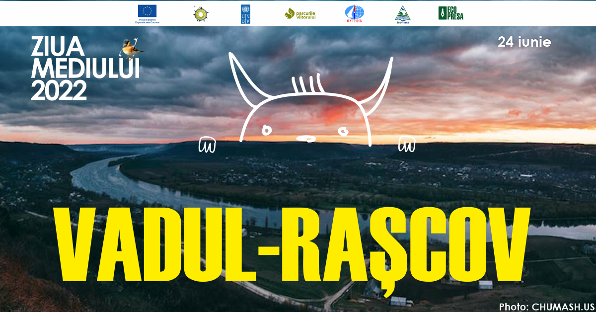 Festival Ziua Mediului