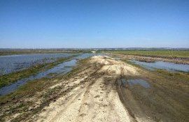 inundații Cahul agricultori - AgroExpert.md