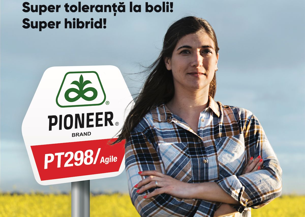 PT298 / Agile – hibridul de rapiță Pioneer® cu cel mai ridicat nivel de rezistență la scuturare