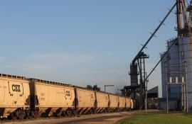 cereale Ucraina export - AgroExxpert.md
