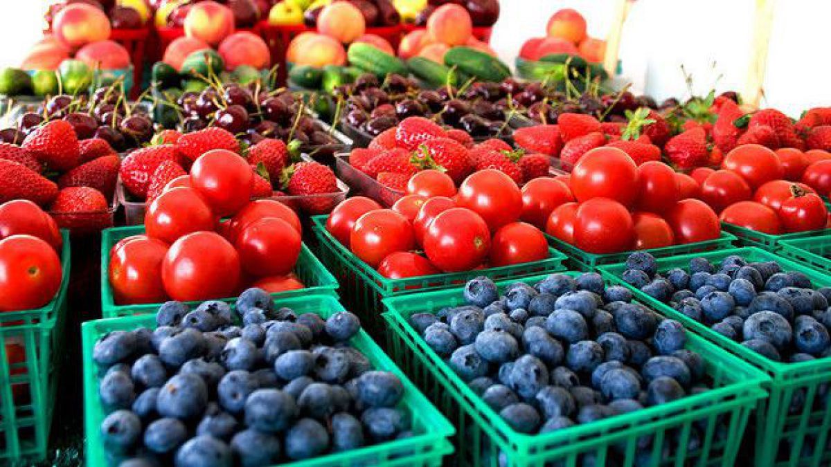 fructe legume UE export - AgroExpert.md