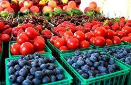 fructe legume UE export - AgroExpert.md