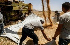 cereale Rommânia recoltă - AgroExpert.md