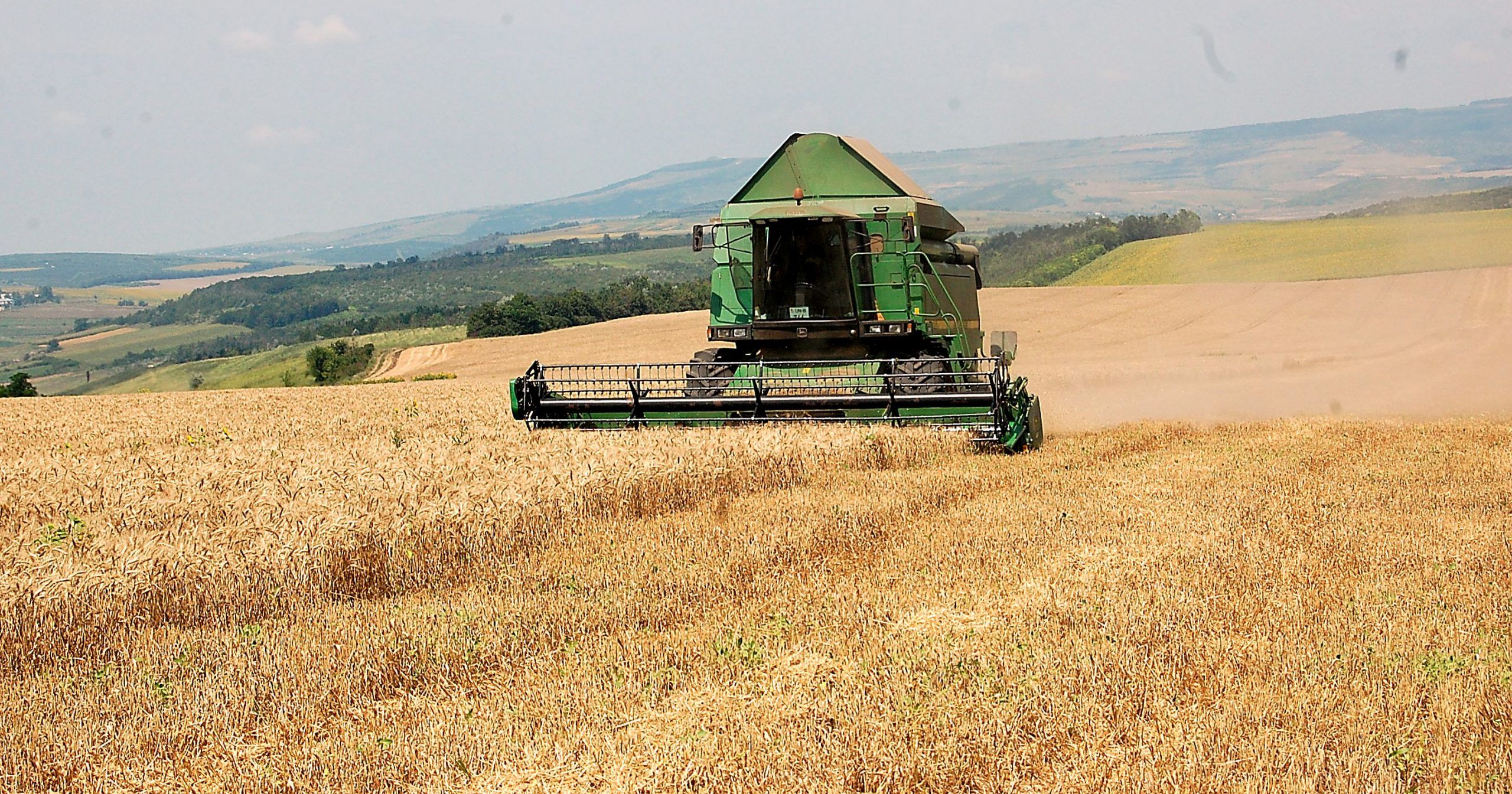 recoltă grâu prețuti - AgroExpert.md