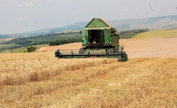 recoltă grâu prețuti - AgroExpert.md