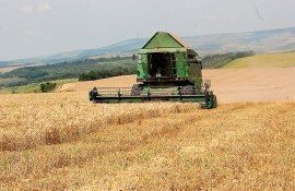 recoltă grâu prețuti - AgroExpert.md