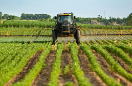 medicamente lege Pralament - AgroExpert.md