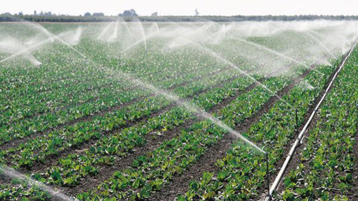 autorizație irigare fermieri - AgroExpert.md