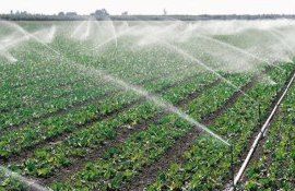 autorizație irigare fermieri - AgroExpert.md