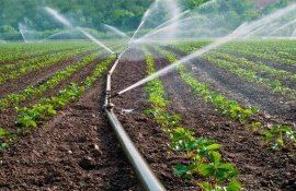 irigare agricultori - AgroExpert.md