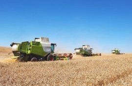 grâu recoltă investiții - AgroExpert.md