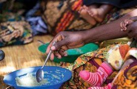 criză de alimente foamete - AgroExpert.md