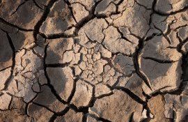 Молдова сталкивается с сильнейшей засухой