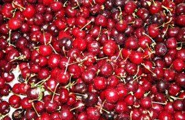 export cireșe vișine - AgroExpert.md