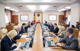 alimente risipă Guvern - AgroExpert.md