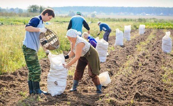 producători fermieri anticoncurențiale - AgroExpert.md