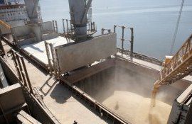 cereale Ucraina expoert - AgroExpert.md