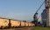 export cereale ucraina - AgrpExpert.md