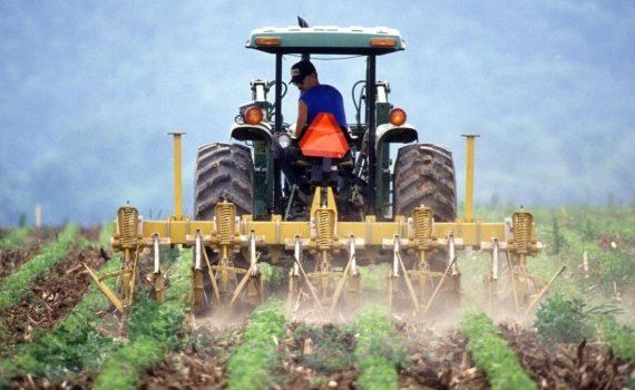 fermieri criză secetă - AgroExpert.md